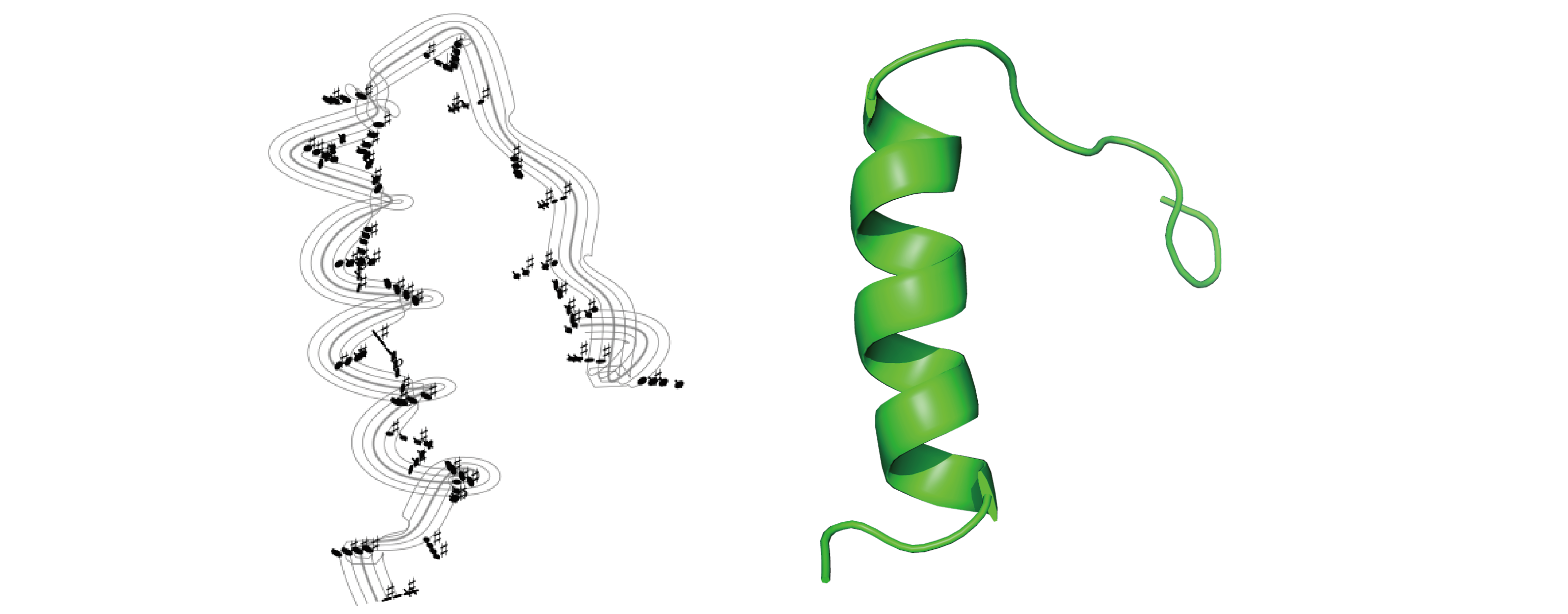 TopoBio image